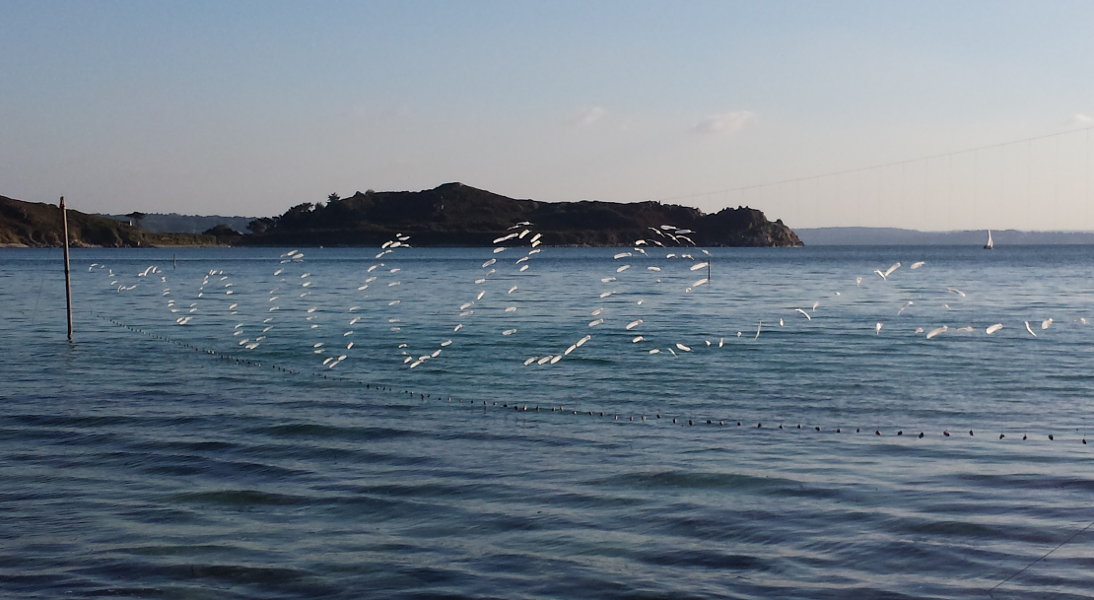 Une histoire d'écume de mer écrite à la plume - 