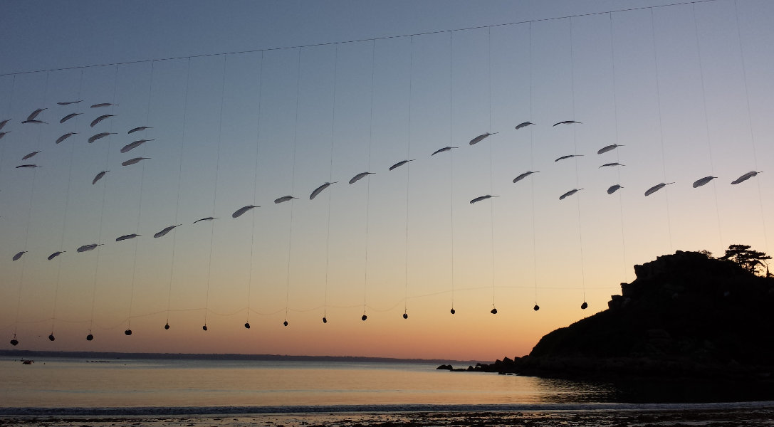 Une histoire d'écume de mer écrite à la plume - 