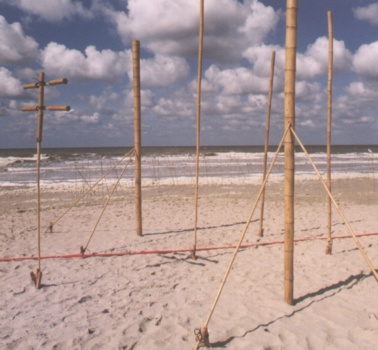 orgue au festival de Berck