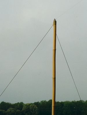 mat - mast