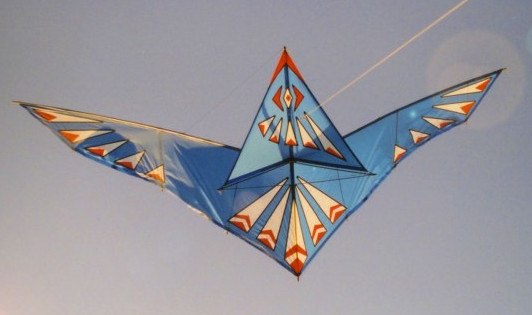 Kanard kite