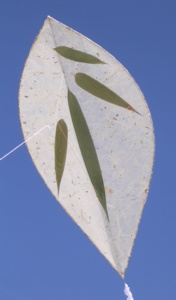 photo d'un cerf-volant sasa - photo of sasa kite