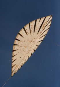 photo d'un cerf-volant sasa - photo of sasa kite