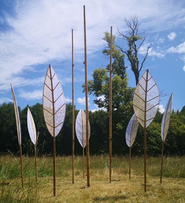 Aeolian harp, harpe éolienne